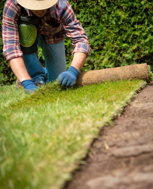 landscaping-services